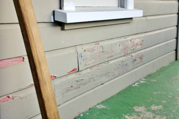 Affordable siding repair and maintenance services in Livingston, LA
